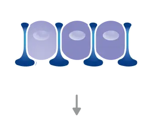 How EKTERLY® (sebetralstat) works
