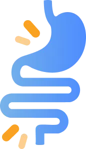 Digestive system